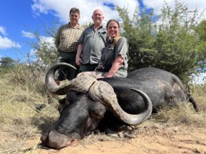 Buffalo Bull