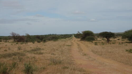 DSC04495
