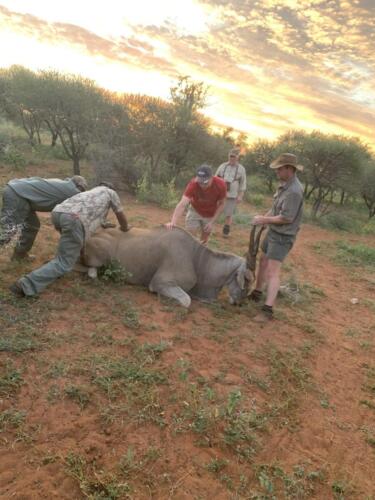 IMG_2114